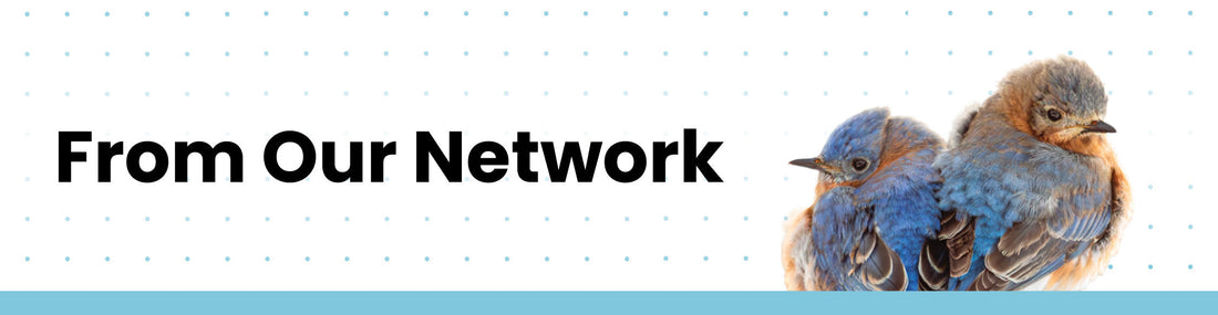 Stories from Our Dealer-Applicator Network