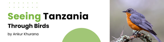 On a Trip That (Apparently) Wasn't About Birds