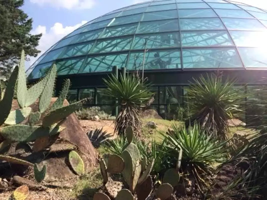 North Carolina Zoo