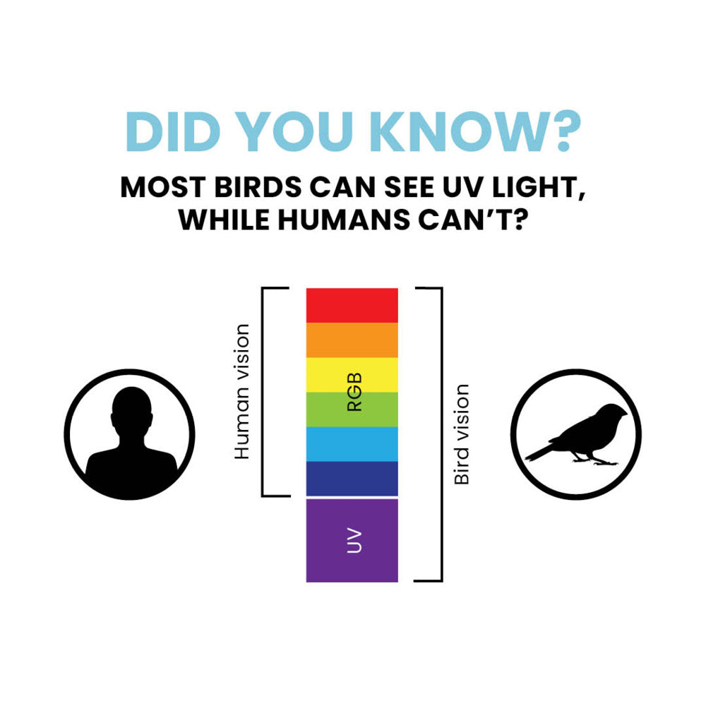 Bird Divert™ UV Residential, 2" x 150ft
