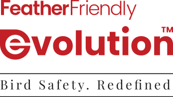 Feather Friendly Evolution