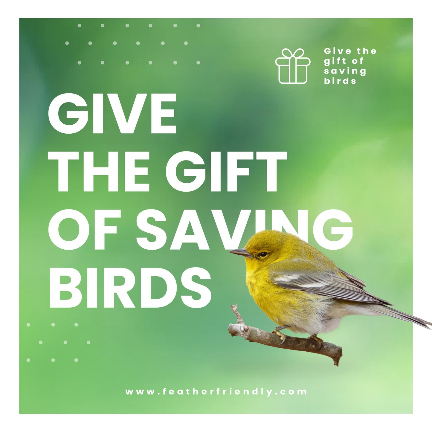 Feather Friendly Gift Card