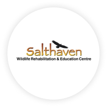 Salthaven Wildlife