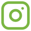 Social icon