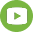 Social icon